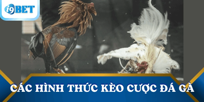 cac-keo-cuoc-da-ga-Campuchia