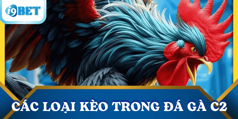 cac-keo-trong-da-ga-c2