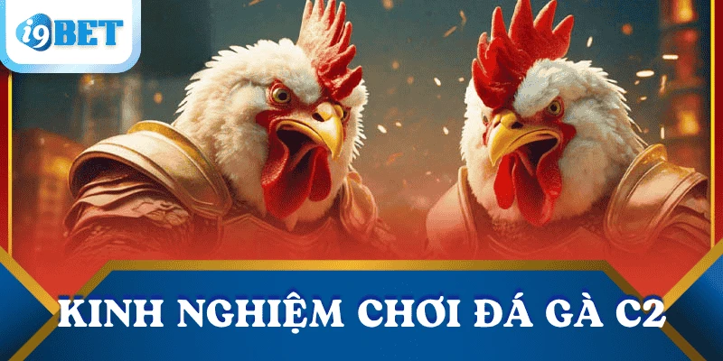 cach-choi-da-ga-c2