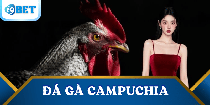 Đá gà Campuchia trực tuyến tại i9bet: Kênh giải trí đỉnh cao không thể bỏ qua 3 da-ga-Campuchia
