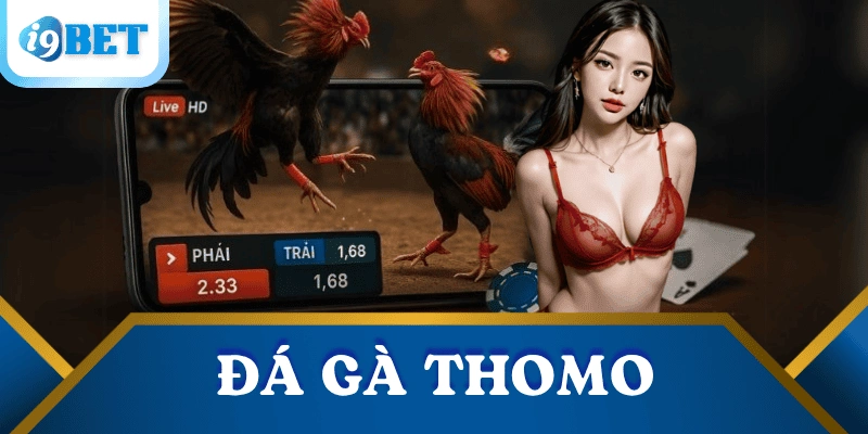 Đá gà Thomo tại I9BET: Sát phạt nghẹt thở – cược đâu thắng đó 4 da-ga-Thomo