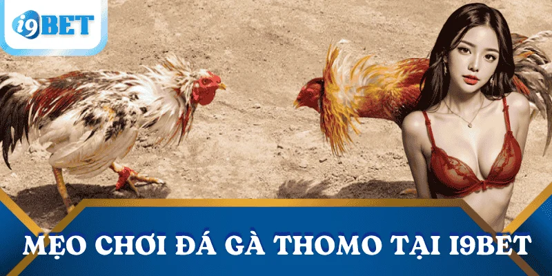 kinh-nghiem-da-ga-Thomo