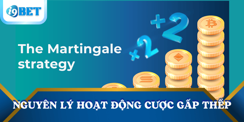 tong-quan-cuoc-gap-thep