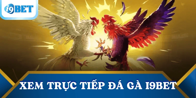 uu-diem-truc-tiep-da-ga-i9bet